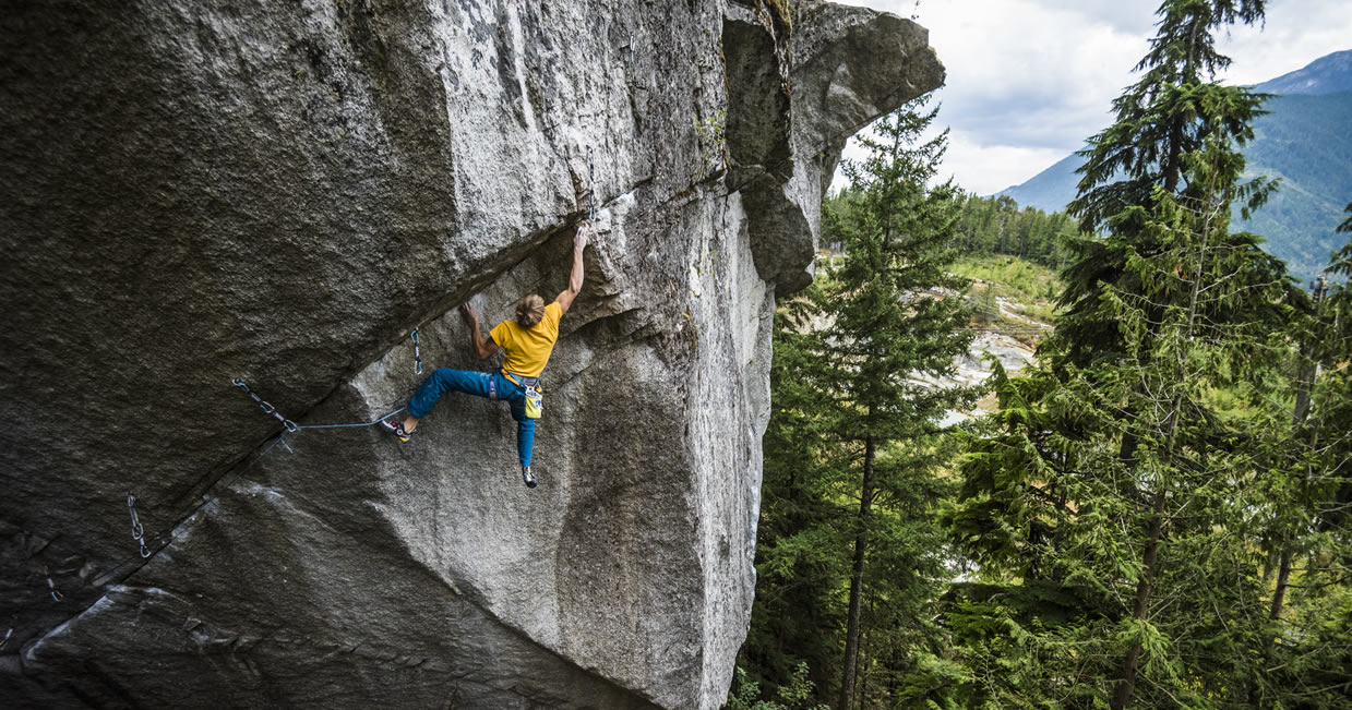 espacio iati pies de gato